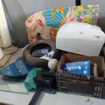 LOTE 056 - 01 LOTE COM MATERIAIS DIVERSOS. (NO ESTADO) ATENÇÃO! FAZER A VISITAÇÃO ANTES DE ARREMATAR, NÃO SABEMOS SE FUNCIONA. LEILÃO NÃO TEM GARANTIA E NEM DEVOLUÇÃO, SUJEITO A POSSÍVEIS AVARIAS VISÍVEIS/OCULTAS E/OU AUSÊNCIA DE COMPONENTES.