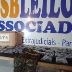 LOTE 071 - 35 - TOUCAS NINJA(APROXIMADAMENTE) (NO ESTADO, NÃO SABEMOS SE FUNCIONA. LEILÃO NÃO TEM GARANTIA E NEM DEVOLUÇÃO, SUJEITO A POSSÍVEIS AVARIAS VISÍVEIS/OCULTAS E/OU AUSÊNCIA DE COMPONENTES)