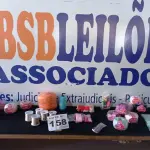 LOTE 158 - 30 - ITENS PARA ARTESANATO (APROXIMADAMENTE) (NO ESTADO, NÃO SABEMOS SE FUNCIONA. LEILÃO NÃO TEM GARANTIA E NEM DEVOLUÇÃO, SUJEITO A POSSÍVEIS AVARIAS VISÍVEIS/OCULTAS E/OU AUSÊNCIA DE COMPONENTES)