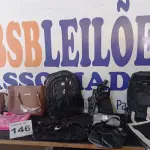 LOTE 146 - 34 - BOLSAS E MOCHILAS, CARTEIRAS DIVERSAS  (APROXIMADAMENTE)(NO ESTADO, NÃO SABEMOS SE FUNCIONA. LEILÃO NÃO TEM GARANTIA E NEM DEVOLUÇÃO, SUJEITO A POSSÍVEIS AVARIAS VISÍVEIS/OCULTAS E/OU AUSÊNCIA DE COMPONENTES)