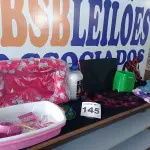LOTE 145 - 25 – ITENS PARA PETS DIVERSOS (APROXIMADAMENTE) (NO ESTADO, NÃO SABEMOS SE FUNCIONA. LEILÃO NÃO TEM GARANTIA E NEM DEVOLUÇÃO, SUJEITO A POSSÍVEIS AVARIAS VISÍVEIS/OCULTAS E/OU AUSÊNCIA DE COMPONENTES)