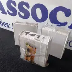 LOTE 141 - 37 – ALICATES DE CORTES  (APROXIMADAMENTE)(NO ESTADO, NÃO SABEMOS SE FUNCIONA. LEILÃO NÃO TEM GARANTIA E NEM DEVOLUÇÃO, SUJEITO A POSSÍVEIS AVARIAS VISÍVEIS/OCULTAS E/OU AUSÊNCIA DE COMPONENTES)