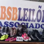 LOTE 160 - 14 – CALÇADOS FEMININOS VARIADOS (NO ESTADO, NÃO SABEMOS SE FUNCIONA. LEILÃO NÃO TEM GARANTIA E NEM DEVOLUÇÃO, SUJEITO A POSSÍVEIS AVARIAS VISÍVEIS/OCULTAS E/OU AUSÊNCIA DE COMPONENTES)