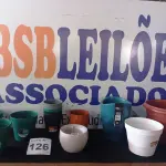 LOTE 126 - 16 - VASOS DIVERSOS (NO ESTADO, NÃO SABEMOS SE FUNCIONA. LEILÃO NÃO TEM GARANTIA E NEM DEVOLUÇÃO, SUJEITO A POSSÍVEIS AVARIAS VISÍVEIS/OCULTAS E/OU AUSÊNCIA DE COMPONENTES)