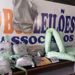 LOTE 130 - 12 – ENXOVAIS DE BEBÊ DIVERSOS (NO ESTADO, NÃO SABEMOS SE FUNCIONA. LEILÃO NÃO TEM GARANTIA E NEM DEVOLUÇÃO, SUJEITO A POSSÍVEIS AVARIAS VISÍVEIS/OCULTAS E/OU AUSÊNCIA DE COMPONENTES)