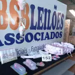 LOTE 152 - 16 - ENXOVAIS DE BEBÊ DIVERSOS (NO ESTADO, NÃO SABEMOS SE FUNCIONA. LEILÃO NÃO TEM GARANTIA E NEM DEVOLUÇÃO, SUJEITO A POSSÍVEIS AVARIAS VISÍVEIS/OCULTAS E/OU AUSÊNCIA DE COMPONENTES)