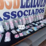 LOTE 123 - 90 - MAMADEIRAS, CHUPETAS E BICOS DIVERSOS (NO ESTADO, NÃO SABEMOS SE FUNCIONA. LEILÃO NÃO TEM GARANTIA E NEM DEVOLUÇÃO, SUJEITO A POSSÍVEIS AVARIAS VISÍVEIS/OCULTAS E/OU AUSÊNCIA DE COMPONENTES)
