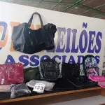 LOTE 133 - 25 - BOLSAS E MOCHILAS, CARTEIRAS DIVERSAS (APROXIMADAMENTE) (NO ESTADO, NÃO SABEMOS SE FUNCIONA. LEILÃO NÃO TEM GARANTIA E NEM DEVOLUÇÃO, SUJEITO A POSSÍVEIS AVARIAS VISÍVEIS/OCULTAS E/OU AUSÊNCIA DE COMPONENTES)