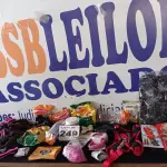 LOTE 249 - 32 – PEÇAS DE PET  (APROXIMADAMENTE)(NO ESTADO, NÃO SABEMOS SE FUNCIONA. LEILÃO NÃO TEM GARANTIA E NEM DEVOLUÇÃO, SUJEITO A POSSÍVEIS AVARIAS VISÍVEIS/OCULTAS E/OU AUSÊNCIA DE COMPONENTES)