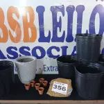 LOTE 356 - 12 – VASOS DIVERSOS (NO ESTADO, NÃO SABEMOS SE FUNCIONA. LEILÃO NÃO TEM GARANTIA E NEM DEVOLUÇÃO, SUJEITO A POSSÍVEIS AVARIAS VISÍVEIS/OCULTAS E/OU AUSÊNCIA DE COMPONENTES)