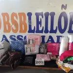 LOTE 209 - 40 – PEÇAS DE ENXOVAL DE CASA (APROXIMADAMENTE)(NO ESTADO, NÃO SABEMOS SE FUNCIONA. LEILÃO NÃO TEM GARANTIA E NEM DEVOLUÇÃO, SUJEITO A POSSÍVEIS AVARIAS VISÍVEIS/OCULTAS E/OU AUSÊNCIA DE COMPONENTES)