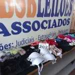 LOTE 202 - 62 – PEÇAS INTIMAS FEMININAS (APROXIMADAMENTE)(NO ESTADO, NÃO SABEMOS SE FUNCIONA. LEILÃO NÃO TEM GARANTIA E NEM DEVOLUÇÃO, SUJEITO A POSSÍVEIS AVARIAS VISÍVEIS/OCULTAS E/OU AUSÊNCIA DE COMPONENTES)