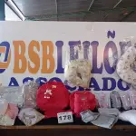 LOTE 178 - 25 – ENXOVAIS DE BEBÊ DIVERSOS (NO ESTADO, NÃO SABEMOS SE FUNCIONA. LEILÃO NÃO TEM GARANTIA E NEM DEVOLUÇÃO, SUJEITO A POSSÍVEIS AVARIAS VISÍVEIS/OCULTAS E/OU AUSÊNCIA DE COMPONENTES)