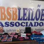 LOTE 242 - 50 - ITENS DE FESTA (APROXIMADAMENTE)(NO ESTADO, NÃO SABEMOS SE FUNCIONA. LEILÃO NÃO TEM GARANTIA E NEM DEVOLUÇÃO, SUJEITO A POSSÍVEIS AVARIAS VISÍVEIS/OCULTAS E/OU AUSÊNCIA DE COMPONENTES)