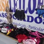 LOTE 184 - 100 – PEÇAS INTIMAS FEMININAS (APROXIMADAMENTE)(NO ESTADO, NÃO SABEMOS SE FUNCIONA. LEILÃO NÃO TEM GARANTIA E NEM DEVOLUÇÃO, SUJEITO A POSSÍVEIS AVARIAS VISÍVEIS/OCULTAS E/OU AUSÊNCIA DE COMPONENTES)