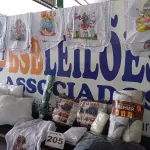 LOTE 205 - 50- PEÇAS DE ENXOVAL DE CASA (APROXIMADAMENTE) (NO ESTADO, NÃO SABEMOS SE FUNCIONA. LEILÃO NÃO TEM GARANTIA E NEM DEVOLUÇÃO, SUJEITO A POSSÍVEIS AVARIAS VISÍVEIS/OCULTAS E/OU AUSÊNCIA DE COMPONENTES)