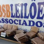 LOTE 352 - 78 - CADERNETAS DE ANOTAÇÃO COM CANETA ECOLÓGICA (APROXIMADAMENTE) (NO ESTADO, NÃO SABEMOS SE FUNCIONA. LEILÃO NÃO TEM GARANTIA E NEM DEVOLUÇÃO, SUJEITO A POSSÍVEIS AVARIAS VISÍVEIS/OCULTAS E/OU AUSÊNCIA DE COMPONENTES)