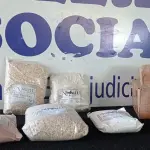 LOTE 266 - 05 – PRODUTOS NATURAIS VENCIMENTO 01/2024(NO ESTADO, NÃO SABEMOS SE FUNCIONA. LEILÃO NÃO TEM GARANTIA E NEM DEVOLUÇÃO, SUJEITO A POSSÍVEIS AVARIAS VISÍVEIS/OCULTAS E/OU AUSÊNCIA DE COMPONENTES)