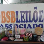 LOTE 208 - 50 -  ITENS DOMÉSTICOS (APROXIMADAMENTE) (NO ESTADO, NÃO SABEMOS SE FUNCIONA. LEILÃO NÃO TEM GARANTIA E NEM DEVOLUÇÃO, SUJEITO A POSSÍVEIS AVARIAS VISÍVEIS/OCULTAS E/OU AUSÊNCIA DE COMPONENTES)