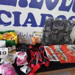 LOTE 249 - 32 – PEÇAS DE PET  (APROXIMADAMENTE)(NO ESTADO, NÃO SABEMOS SE FUNCIONA. LEILÃO NÃO TEM GARANTIA E NEM DEVOLUÇÃO, SUJEITO A POSSÍVEIS AVARIAS VISÍVEIS/OCULTAS E/OU AUSÊNCIA DE COMPONENTES)