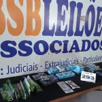 LOTE 293 - 60 – ITENS PARA CELULARES  (APROXIMADAMENTE)(NO ESTADO, NÃO SABEMOS SE FUNCIONA. LEILÃO NÃO TEM GARANTIA E NEM DEVOLUÇÃO, SUJEITO A POSSÍVEIS AVARIAS VISÍVEIS/OCULTAS E/OU AUSÊNCIA DE COMPONENTES)