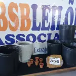 LOTE 356 - 12 – VASOS DIVERSOS (NO ESTADO, NÃO SABEMOS SE FUNCIONA. LEILÃO NÃO TEM GARANTIA E NEM DEVOLUÇÃO, SUJEITO A POSSÍVEIS AVARIAS VISÍVEIS/OCULTAS E/OU AUSÊNCIA DE COMPONENTES)