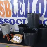 LOTE 356 - 12 – VASOS DIVERSOS (NO ESTADO, NÃO SABEMOS SE FUNCIONA. LEILÃO NÃO TEM GARANTIA E NEM DEVOLUÇÃO, SUJEITO A POSSÍVEIS AVARIAS VISÍVEIS/OCULTAS E/OU AUSÊNCIA DE COMPONENTES)