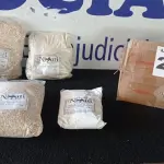 LOTE 266 - 05 – PRODUTOS NATURAIS VENCIMENTO 01/2024(NO ESTADO, NÃO SABEMOS SE FUNCIONA. LEILÃO NÃO TEM GARANTIA E NEM DEVOLUÇÃO, SUJEITO A POSSÍVEIS AVARIAS VISÍVEIS/OCULTAS E/OU AUSÊNCIA DE COMPONENTES)