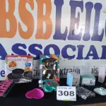 LOTE 308 - 30 – ITENS PARA COZINHA DIVERSOS (APROXIMADAMENTE) (NO ESTADO, NÃO SABEMOS SE FUNCIONA. LEILÃO NÃO TEM GARANTIA E NEM DEVOLUÇÃO, SUJEITO A POSSÍVEIS AVARIAS VISÍVEIS/OCULTAS E/OU AUSÊNCIA DE COMPONENTES)