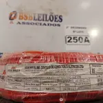 LOTE 250 - 01 ROLO DE CABO FLEXÍVEL 100M 1X4MM NA COR VERMELHA (NOVO). (NO ESTADO) ATENÇÃO! FAZER A VISITAÇÃO ANTES DE ARREMATAR, NÃO SABEMOS SE FUNCIONA. LEILÃO NÃO TEM GARANTIA E NEM DEVOLUÇÃO, SUJEITO A POSSÍVEIS AVARIAS VISÍVEIS/OCULTAS E/OU AUSÊNCIA DE COMPONENTES.