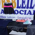 LOTE 196 - 15 – PEÇAS DE ROUPAS FEMININAS DIVERSAS (APROXIMADAMENTE) (NO ESTADO, NÃO SABEMOS SE FUNCIONA. LEILÃO NÃO TEM GARANTIA E NEM DEVOLUÇÃO, SUJEITO A POSSÍVEIS AVARIAS VISÍVEIS/OCULTAS E/OU AUSÊNCIA DE COMPONENTES)