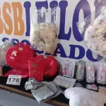 LOTE 178 - 25 – ENXOVAIS DE BEBÊ DIVERSOS (NO ESTADO, NÃO SABEMOS SE FUNCIONA. LEILÃO NÃO TEM GARANTIA E NEM DEVOLUÇÃO, SUJEITO A POSSÍVEIS AVARIAS VISÍVEIS/OCULTAS E/OU AUSÊNCIA DE COMPONENTES)
