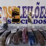 LOTE 176 - 26 – PEÇAS DE CABELO JUMBO  (APROXIMADAMENTE)(NO ESTADO, NÃO SABEMOS SE FUNCIONA. LEILÃO NÃO TEM GARANTIA E NEM DEVOLUÇÃO, SUJEITO A POSSÍVEIS AVARIAS VISÍVEIS/OCULTAS E/OU AUSÊNCIA DE COMPONENTES)
