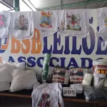 LOTE 205 - 50- PEÇAS DE ENXOVAL DE CASA (APROXIMADAMENTE) (NO ESTADO, NÃO SABEMOS SE FUNCIONA. LEILÃO NÃO TEM GARANTIA E NEM DEVOLUÇÃO, SUJEITO A POSSÍVEIS AVARIAS VISÍVEIS/OCULTAS E/OU AUSÊNCIA DE COMPONENTES)