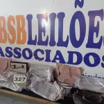 LOTE 327 - 07 – BOLSAS DIVERSAS (NO ESTADO, NÃO SABEMOS SE FUNCIONA. LEILÃO NÃO TEM GARANTIA E NEM DEVOLUÇÃO, SUJEITO A POSSÍVEIS AVARIAS VISÍVEIS/OCULTAS E/OU AUSÊNCIA DE COMPONENTES)
