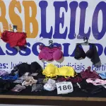 LOTE 186 - 80 – PEÇAS INTIMAS FEMININAS (APROXIMADAMENTE)(NO ESTADO, NÃO SABEMOS SE FUNCIONA. LEILÃO NÃO TEM GARANTIA E NEM DEVOLUÇÃO, SUJEITO A POSSÍVEIS AVARIAS VISÍVEIS/OCULTAS E/OU AUSÊNCIA DE COMPONENTES)
