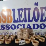LOTE 234 - 36 – CESTAS DE MADEIRA  (APROXIMADAMENTE)(NO ESTADO, NÃO SABEMOS SE FUNCIONA. LEILÃO NÃO TEM GARANTIA E NEM DEVOLUÇÃO, SUJEITO A POSSÍVEIS AVARIAS VISÍVEIS/OCULTAS E/OU AUSÊNCIA DE COMPONENTES)