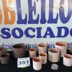 LOTE 351 - 11 – VASOS DE ARGILA (NO ESTADO, NÃO SABEMOS SE FUNCIONA. LEILÃO NÃO TEM GARANTIA E NEM DEVOLUÇÃO, SUJEITO A POSSÍVEIS AVARIAS VISÍVEIS/OCULTAS E/OU AUSÊNCIA DE COMPONENTES)
