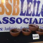 LOTE 008 - 04 - VASOS DE PLANTAS (NO ESTADO, NÃO SABEMOS SE FUNCIONA. LEILÃO NÃO TEM GARANTIA E NEM DEVOLUÇÃO, SUJEITO A POSSÍVEIS AVARIAS VISÍVEIS/OCULTAS E/OU AUSÊNCIA DE COMPONENTES)