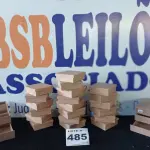 LOTE 485 - 22 – ITENS PARA ARTESANATOS (APROXIMADAMENTE) (NO ESTADO, NÃO SABEMOS SE FUNCIONA. LEILÃO NÃO TEM GARANTIA E NEM DEVOLUÇÃO, SUJEITO A POSSÍVEIS AVARIAS VISÍVEIS/OCULTAS E/OU AUSÊNCIA DE COMPONENTES)