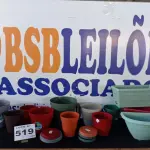 LOTE 519 - 12 – VASOS DE PLANTAS DIVERSOS (NO ESTADO, NÃO SABEMOS SE FUNCIONA. LEILÃO NÃO TEM GARANTIA E NEM DEVOLUÇÃO, SUJEITO A POSSÍVEIS AVARIAS VISÍVEIS/OCULTAS E/OU AUSÊNCIA DE COMPONENTES)
