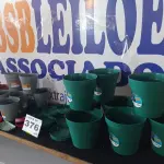 LOTE 376 - 18 – VASOS DIVERSOS (APROXIMADAMENTE)(NO ESTADO, NÃO SABEMOS SE FUNCIONA. LEILÃO NÃO TEM GARANTIA E NEM DEVOLUÇÃO, SUJEITO A POSSÍVEIS AVARIAS VISÍVEIS/OCULTAS E/OU AUSÊNCIA DE COMPONENTES)