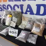 LOTE 405 - 20 – ITENS NATURAIS DIVERSOS  (APROXIMADAMENTE)(NO ESTADO, NÃO SABEMOS SE FUNCIONA. LEILÃO NÃO TEM GARANTIA E NEM DEVOLUÇÃO, SUJEITO A POSSÍVEIS AVARIAS VISÍVEIS/OCULTAS E/OU AUSÊNCIA DE COMPONENTES)