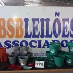 LOTE 376 - 18 – VASOS DIVERSOS (APROXIMADAMENTE)(NO ESTADO, NÃO SABEMOS SE FUNCIONA. LEILÃO NÃO TEM GARANTIA E NEM DEVOLUÇÃO, SUJEITO A POSSÍVEIS AVARIAS VISÍVEIS/OCULTAS E/OU AUSÊNCIA DE COMPONENTES)