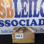 LOTE 361 - 100 PACOTES ESPETOS DE BAMBU PARA CHURRASCO DE 25CM COM 50 UNIDADES (APROXIMADAMENTE)(NO ESTADO, NÃO SABEMOS SE FUNCIONA. LEILÃO NÃO TEM GARANTIA E NEM DEVOLUÇÃO, SUJEITO A POSSÍVEIS AVARIAS VISÍVEIS/OCULTAS E/OU AUSÊNCIA DE COMPONENTES)
