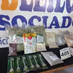 LOTE 405 - 20 – ITENS NATURAIS DIVERSOS  (APROXIMADAMENTE)(NO ESTADO, NÃO SABEMOS SE FUNCIONA. LEILÃO NÃO TEM GARANTIA E NEM DEVOLUÇÃO, SUJEITO A POSSÍVEIS AVARIAS VISÍVEIS/OCULTAS E/OU AUSÊNCIA DE COMPONENTES)