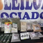 LOTE 405 - 20 – ITENS NATURAIS DIVERSOS  (APROXIMADAMENTE)(NO ESTADO, NÃO SABEMOS SE FUNCIONA. LEILÃO NÃO TEM GARANTIA E NEM DEVOLUÇÃO, SUJEITO A POSSÍVEIS AVARIAS VISÍVEIS/OCULTAS E/OU AUSÊNCIA DE COMPONENTES)