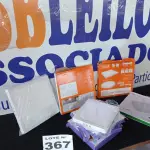 LOTE 367 - 07 – LUMINÁRIAS DIVERSAS (NO ESTADO, NÃO SABEMOS SE FUNCIONA. LEILÃO NÃO TEM GARANTIA E NEM DEVOLUÇÃO, SUJEITO A POSSÍVEIS AVARIAS VISÍVEIS/OCULTAS E/OU AUSÊNCIA DE COMPONENTES)