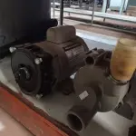 LOTE 098 - 02 MOTOBOMBAS PARA BANHEIRA DE HIDROMASSAGEM. (NO ESTADO) ATENÇÃO! FAZER A VISITAÇÃO ANTES DE ARREMATAR, NÃO SABEMOS SE FUNCIONA. LEILÃO NÃO TEM GARANTIA E NEM DEVOLUÇÃO, SUJEITO A POSSÍVEIS AVARIAS VISÍVEIS/OCULTAS E/OU AUSÊNCIA DE COMPONENTES.