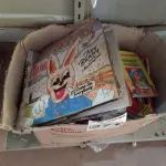LOTE 271 - 01 LOTE COM VÁRIAS REVISTAS ANTIGAS E DISCOS DE VINIL TÍTULOS DIVERSOS. (NO ESTADO) ATENÇÃO! FAZER A VISITAÇÃO ANTES DE ARREMATAR, NÃO SABEMOS SE FUNCIONA. LEILÃO NÃO TEM GARANTIA E NEM DEVOLUÇÃO, SUJEITO A POSSÍVEIS AVARIAS VISÍVEIS/OCULTAS E/OU AUSÊNCIA DE COMPONENTES.